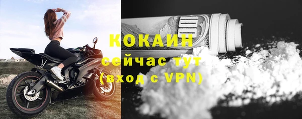 кокс Алзамай